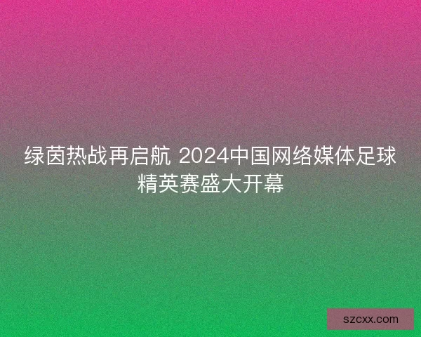 绿茵热战再启航 2024中国网络媒体足球精英赛盛大开幕